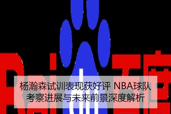 杨瀚森试训表现获好评 NBA球队考察进展与未来前景深度解析